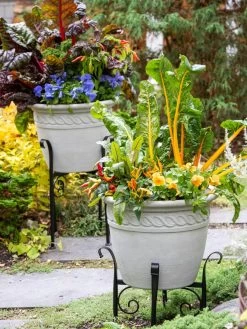 Garden Care Shop -Garden Care Shop 8613347 0061