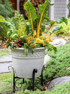 Covington Adjustable Plant Stands -Garden Care Shop 8613347 0113