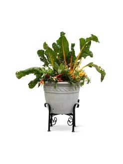 Covington Adjustable Plant Stands -Garden Care Shop 8613347 0119