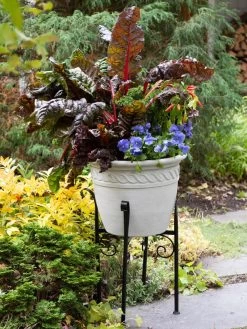 Covington Adjustable Plant Stands -Garden Care Shop 8613348 0114
