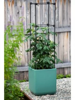 Oasis Self-Watering Tomato Planter With Trellis 14 Oasis Self-Watering Tomato Planter With Trellis -Garden Care Shop 8613440 0373 3 4