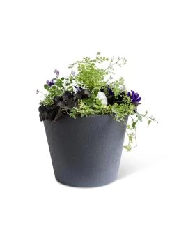 Self-Watering FiberStone Planters 18 Self-Watering FiberStone Planters -Garden Care Shop 8613676 8645