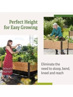 Elevated Planter Box, 2' X 8' -Garden Care Shop B00EOW8FHU raisedbed benefits