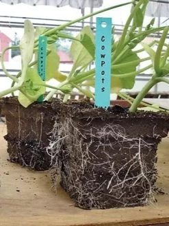 2-3/4" Square Cowpots 6-Packs, Set Of 4 -Garden Care Shop GS37034 05