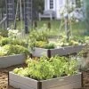 Sustainable Raised Beds