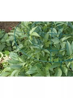 Grow Through Supports, Set Of 3 7 Grow Through Supports, Set Of 3 -Garden Care Shop GS40172 01 1