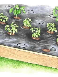 Easy-Plant Weed Block Mulch