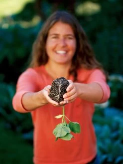 Deep Root Seedstarting System, Black 5 Deep Root Seedstarting System, Black -Garden Care Shop GSCOVSPR06D2 01