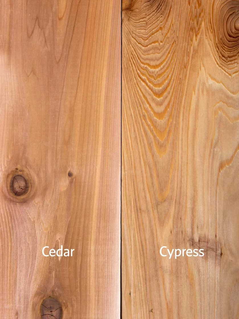 Pest-Free Garden 6 Pest-Free Garden - Image 6