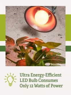 Miracle LED® Absolute Daylight™ Max Flowering Grow Light Bulb -Garden Care Shop Miracle Daylight Bulb 2