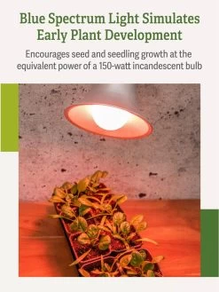 Miracle LED® Absolute Daylight™ Max Flowering Grow Light Bulb -Garden Care Shop Miracle Daylight Bulb 4