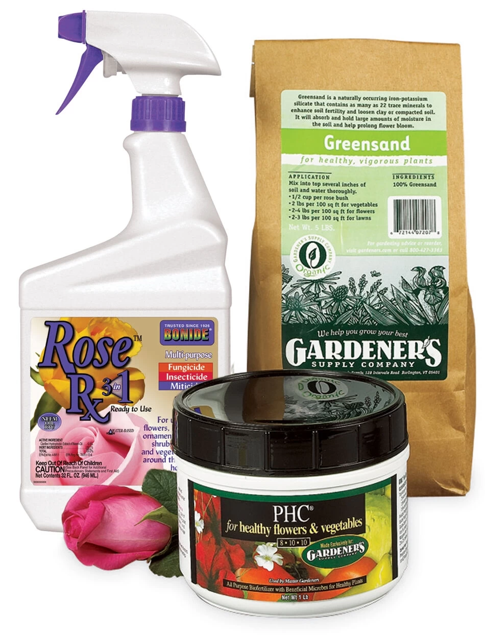 Rose Success Kit 1 Rose Success Kit