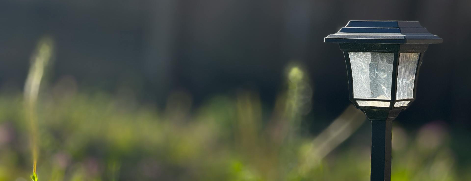 Garden Care Shop -Garden Care Shop pexels amy k 392055107 31197719