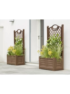 Separate Flower Box With Trellis -Garden Care Shop webimage 8613626 02V